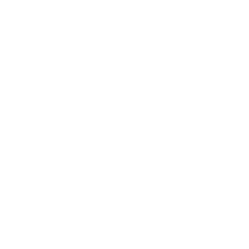Import Capital Partners