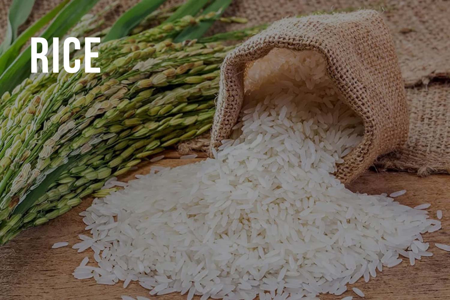 RICE